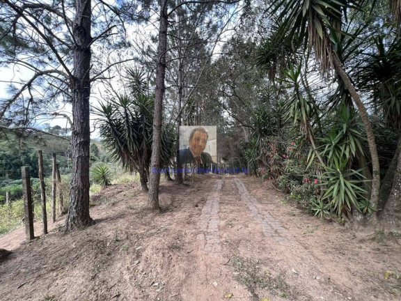 Imagem Terreno à Venda, 18.455 m² em Taboleiro Verde - Cotia Imagem Terreno à Venda, 18.455 m² em Taboleiro Verde - Cotia