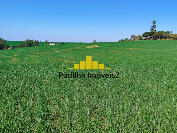 Imagem Fazenda à Venda, 136 m² em Capão Bonito Imagem Fazenda à Venda, 136 m² em Capão Bonito