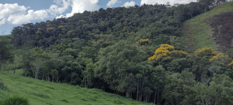 Imagem Chácara com 2 Quartos à Venda, 100 m² em Centro - Natividade Da Serra Imagem Chácara com 2 Quartos à Venda, 100 m² em Centro - Natividade Da Serra