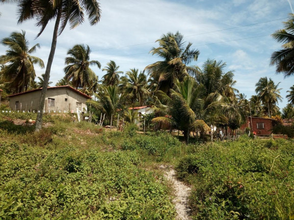 Imagem Terreno à Venda, 100.000 m² em Barra Do Itariri - Conde