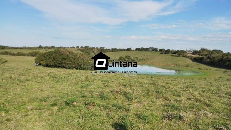 Imagem Imóvel com 3 Quartos à Venda, 760.000 m² em 3ºdistrito Boa Vista - Canguçu Imagem Imóvel com 3 Quartos à Venda, 760.000 m² em 3ºdistrito Boa Vista - Canguçu