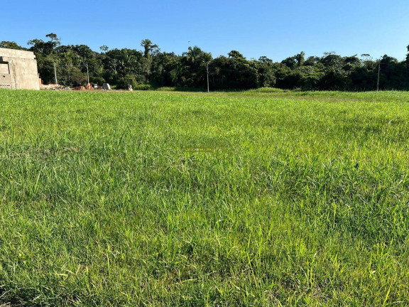 Imagem Terreno em Condomínio à Venda, 360 m² em Residencial Bosque Três Marias - Peruíbe Imagem Terreno em Condomínio à Venda, 360 m² em Residencial Bosque Três Marias - Peruíbe
