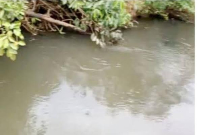 Imagem Imóvel à Venda, 340 m² em Presidente Prudente - Zona Rural - Presidente Prudente