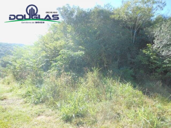 Imagem Terreno à Venda, 600 m² em águas Claras - Viamão