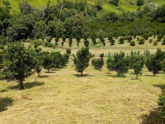 Imagem Imóvel com 2 Quartos à Venda, 51.700 m² em Centro - Cerro Azul Imagem Imóvel com 2 Quartos à Venda, 51.700 m² em Centro - Cerro Azul