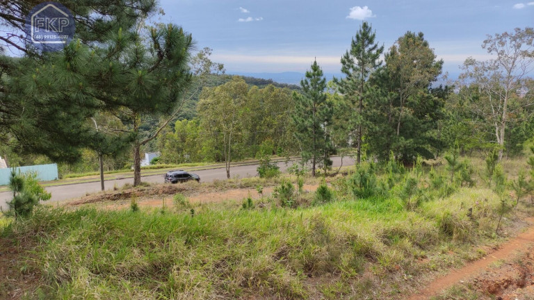 Imagem Terreno à Venda, 1.429 m² em Santa Isabel - Viamão