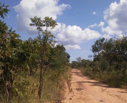 Imagem Imóvel à Venda,  em Região Central Do Tocantins - Pedro Afonso