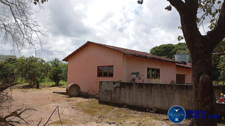 Imagem Fazenda à Venda, 160 m² em Zona Rural - Cristalândia Imagem Fazenda à Venda, 160 m² em Zona Rural - Cristalândia