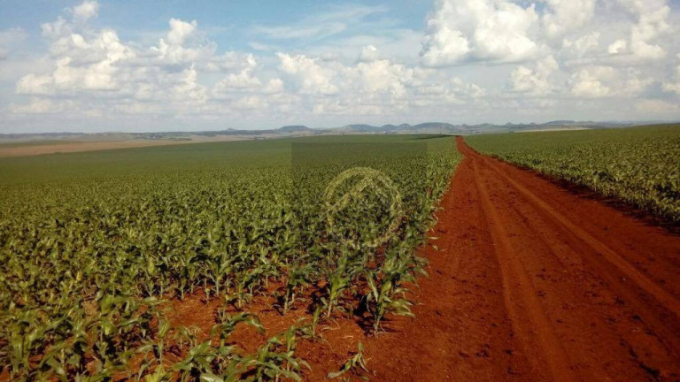 Fazenda à Venda, 16.431.800 m² em Jardim Lindóia - Goioere