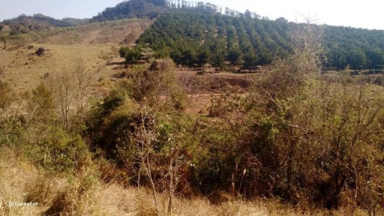 Imagem Terreno à Venda, 10.000 m² em Camanducaia Do Meio - Socorro Imagem Terreno à Venda, 10.000 m² em Camanducaia Do Meio - Socorro