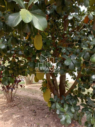 Imagem Imóvel com 4 Quartos à Venda, 5.000 m² em Chácara Vista Alegre - Itupeva Imagem Imóvel com 4 Quartos à Venda, 5.000 m² em Chácara Vista Alegre - Itupeva