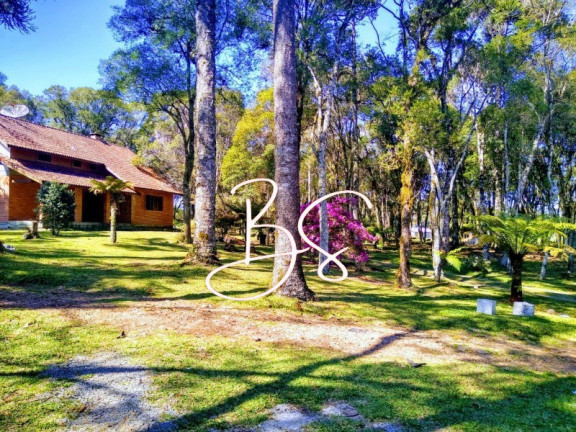 Imagem Imóvel com 2 Quartos à Venda, 30.000 m² em Centro - Gramado Imagem Imóvel com 2 Quartos à Venda, 30.000 m² em Centro - Gramado