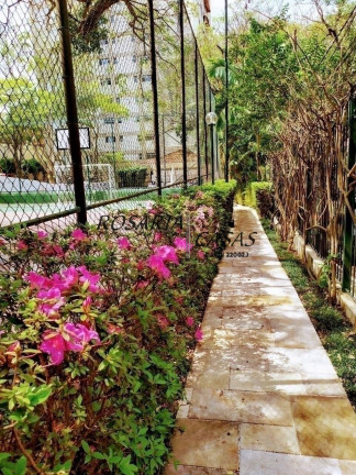 Imagem Apartamento com 3 Quartos à Venda, 80 m² em Chácara Flora - São Paulo