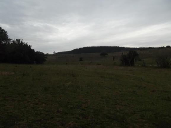 Imagem Chácara com 1 Quarto à Venda, 108.000 m² em Itapuã - Viamão Imagem Chácara com 1 Quarto à Venda, 108.000 m² em Itapuã - Viamão