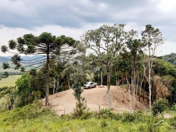 Imagem Imóvel à Venda, 28.900 m² em Zona Rural - Bom Retiro Imagem Imóvel à Venda, 28.900 m² em Zona Rural - Bom Retiro