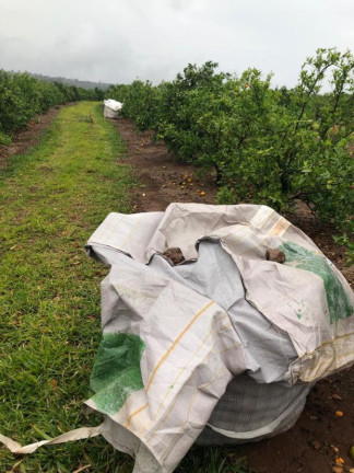 Imagem Chácara à Venda, 14 m² em Rural - águas De Santa Bárbara