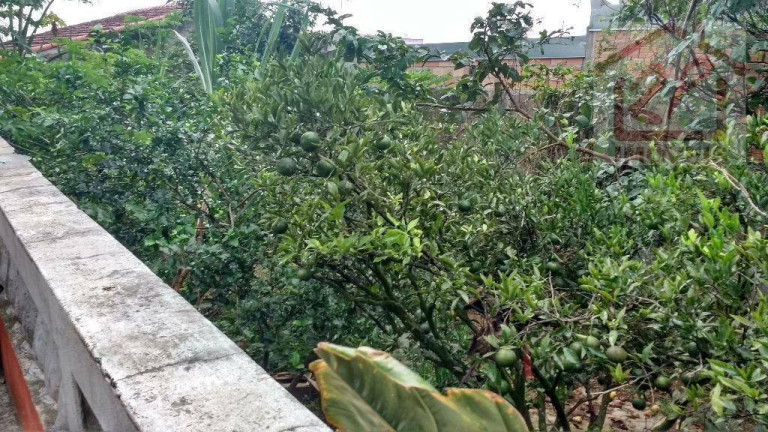 Imagem Casa com 2 Quartos à Venda, 120 m² em Jardim Colonial - São José Dos Campos Imagem Casa com 2 Quartos à Venda, 120 m² em Jardim Colonial - São José Dos Campos