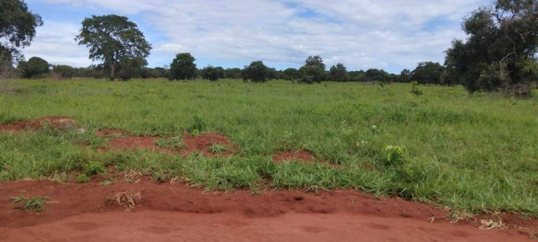 Imagem Fazenda à Venda, 121 m² em Zona Rural - Montes Claros De Goiás Imagem Fazenda à Venda, 121 m² em Zona Rural - Montes Claros De Goiás