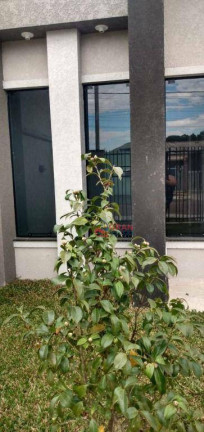 Imagem Casa com 3 Quartos à Venda, 118 m² em Eucaliptos - Fazenda Rio Grande Imagem Casa com 3 Quartos à Venda, 118 m² em Eucaliptos - Fazenda Rio Grande