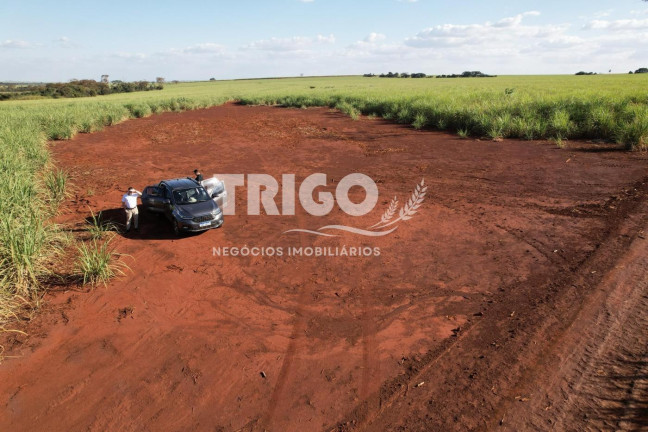 Imagem Fazenda à Venda, 6 m² em Zona Rural - Morro Agudo
