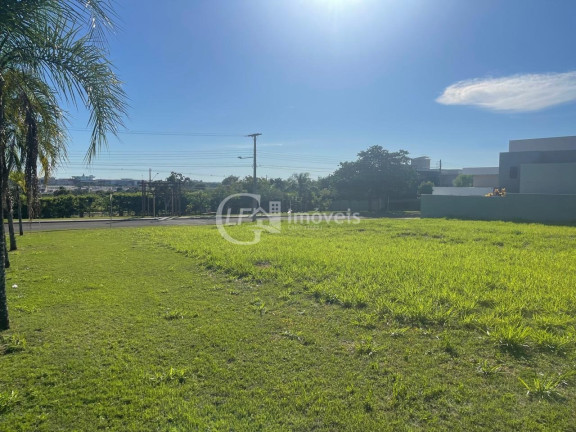 Imagem Terreno à Venda, 980 m² em Alphaville Campo Grande - Campo Grande Imagem Terreno à Venda, 980 m² em Alphaville Campo Grande - Campo Grande