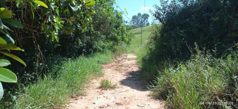 Imagem Chácara à Venda, 63.000 m² em Centro - Santa Branca Imagem Chácara à Venda, 63.000 m² em Centro - Santa Branca