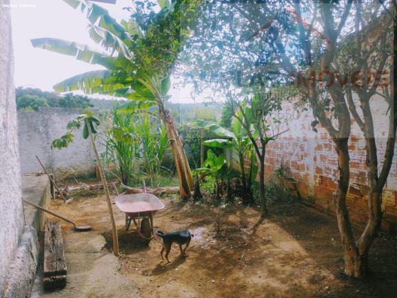 Imagem Casa com 1 Quarto à Venda, 130 m² em Vila Suzana - Mateus Leme