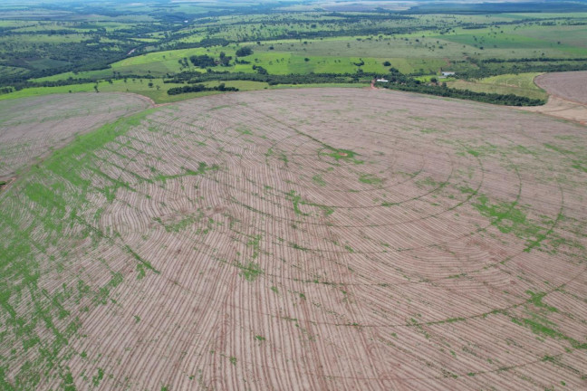 Imagem Fazenda à Venda, 74 m² em Zona Rural - Prata Imagem Fazenda à Venda, 74 m² em Zona Rural - Prata