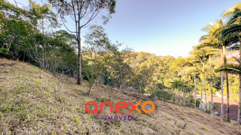 Imagem Terreno à Venda, 9.690 m² em Itoupavazinha - Blumenau
