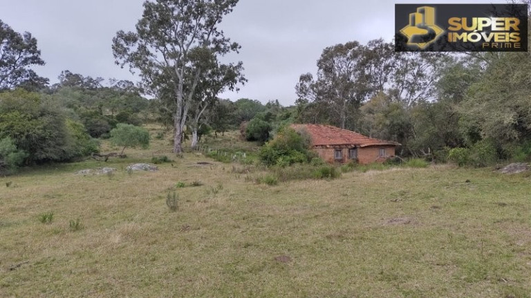 Imagem Imóvel com 4 Quartos à Venda, 2.600.000 m² em Centro - Canguçu