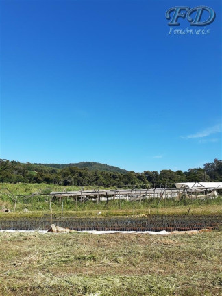 Imagem Chácara à Venda, 75.000 m² em Tanque - Atibaia Imagem Chácara à Venda, 75.000 m² em Tanque - Atibaia