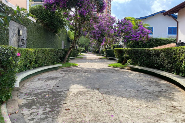 Imagem Casa com 3 Quartos à Venda, em Morumbi - São Paulo Imagem Casa com 3 Quartos à Venda, em Morumbi - São Paulo