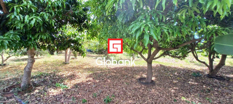 Imagem Imóvel com 3 Quartos à Venda, 12.000 m² em São João Das Veredas - Montes Claros Imagem Imóvel com 3 Quartos à Venda, 12.000 m² em São João Das Veredas - Montes Claros