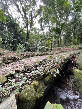 Imagem Imóvel com 5 Quartos à Venda, 20.000 m² em Maresias - São Sebastião Imagem Imóvel com 5 Quartos à Venda, 20.000 m² em Maresias - São Sebastião