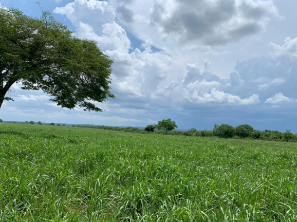 Imagem Imóvel à Venda,  em Divinópolis Do Tocantins/to - Divinópolis Do Tocantins