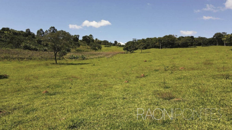 Imagem Fazenda à Venda, 484.000 m² em Zona Rural - Caconde Imagem Fazenda à Venda, 484.000 m² em Zona Rural - Caconde