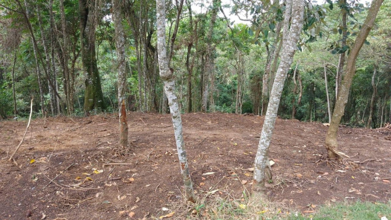 Imagem Terreno à Venda, 2.080 m² em Residencial Santa Helena - Gleba I - Santana De Parnaíba