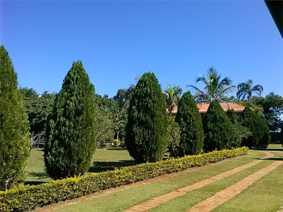 Imagem Imóvel com 3 Quartos à Venda, 12.000 m² em Ponte Nova - Itatiba