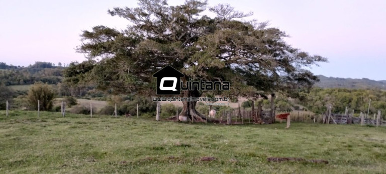 Imagem Imóvel com 1 Quarto à Venda, 230.000 m² em Santo Amor - Morro Redondo Imagem Imóvel com 1 Quarto à Venda, 230.000 m² em Santo Amor - Morro Redondo