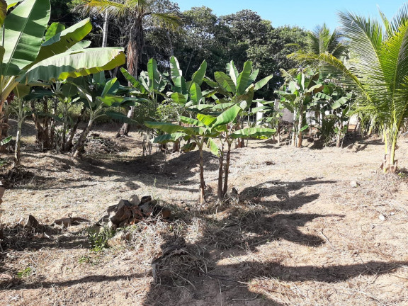 Imagem Imóvel com 1 Quarto à Venda, 2.000 m² em Diogo - Mata De São João Imagem Imóvel com 1 Quarto à Venda, 2.000 m² em Diogo - Mata De São João