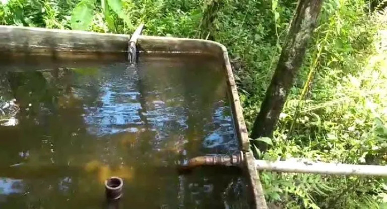 Imagem Imóvel com 3 Quartos à Venda, 3.800 m² em Da Capelinha - Cotia Imagem Imóvel com 3 Quartos à Venda, 3.800 m² em Da Capelinha - Cotia