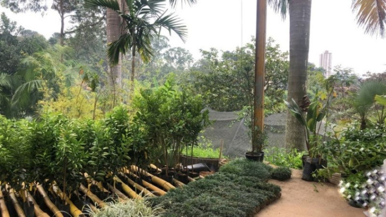Imagem Loja para Alugar, 30 m² em Chácara São João - Carapicuíba Imagem Loja para Alugar, 30 m² em Chácara São João - Carapicuíba