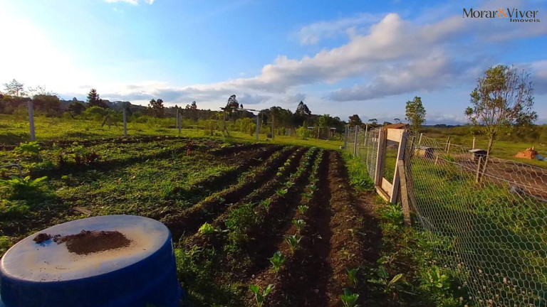 Imagem Chácara à Venda, 32.800 m² em Ambrósio - Tijucas Do Sul
