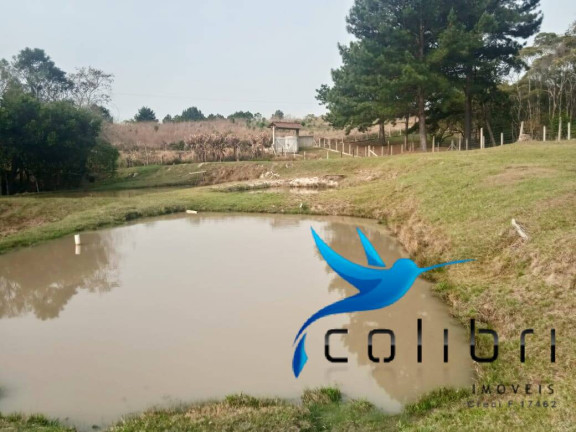 Imagem Chácara com 3 Quartos à Venda, 26.105 m² em Ximbuva - Agudos Do Sul Imagem Chácara com 3 Quartos à Venda, 26.105 m² em Ximbuva - Agudos Do Sul