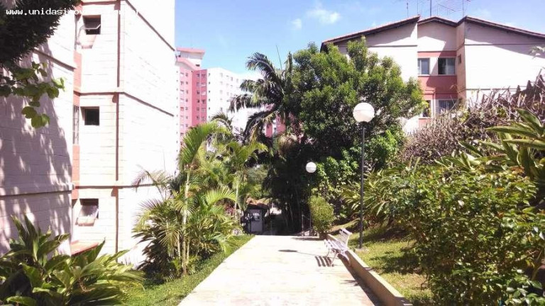 Imagem Apartamento com 2 Quartos à Venda, 51 m² em Vila Inglesa - São Paulo