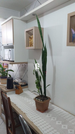 Imagem Apartamento com 3 Quartos à Venda, em Pinheiro Machado - Santa Maria Imagem Apartamento com 3 Quartos à Venda, em Pinheiro Machado - Santa Maria