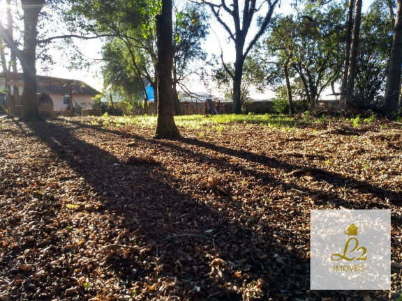 Imagem Terreno à Venda, 4.360 m² em Sítio Cercado - Curitiba Imagem Terreno à Venda, 4.360 m² em Sítio Cercado - Curitiba