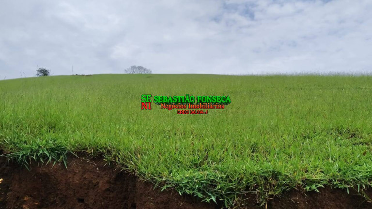 Imagem Fazenda à Venda, 65 m² em Centro - Cunha Imagem Fazenda à Venda, 65 m² em Centro - Cunha