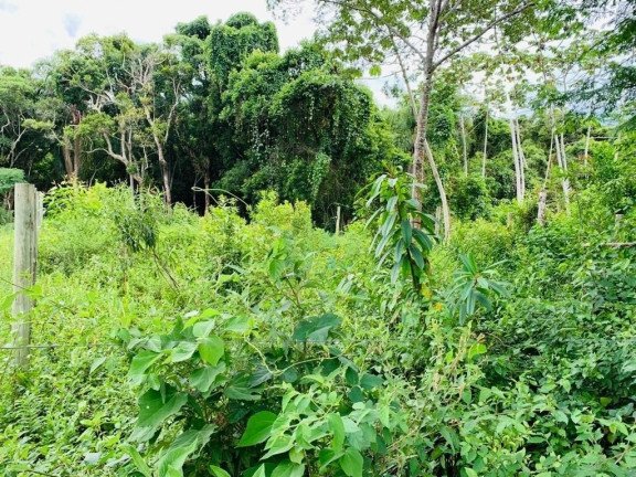 Imagem Terreno à Venda, 547 m² em Encantada - Garopaba