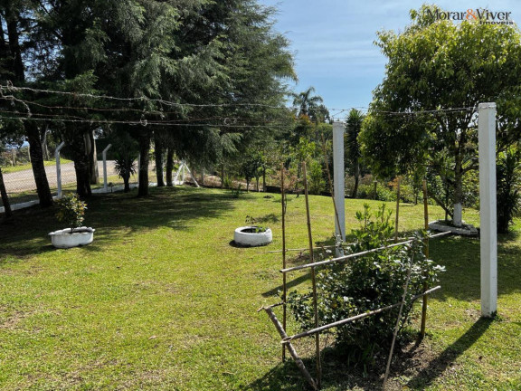 Imagem Chácara à Venda, 6.300 m² em Zona Rural - Tijucas Do Sul